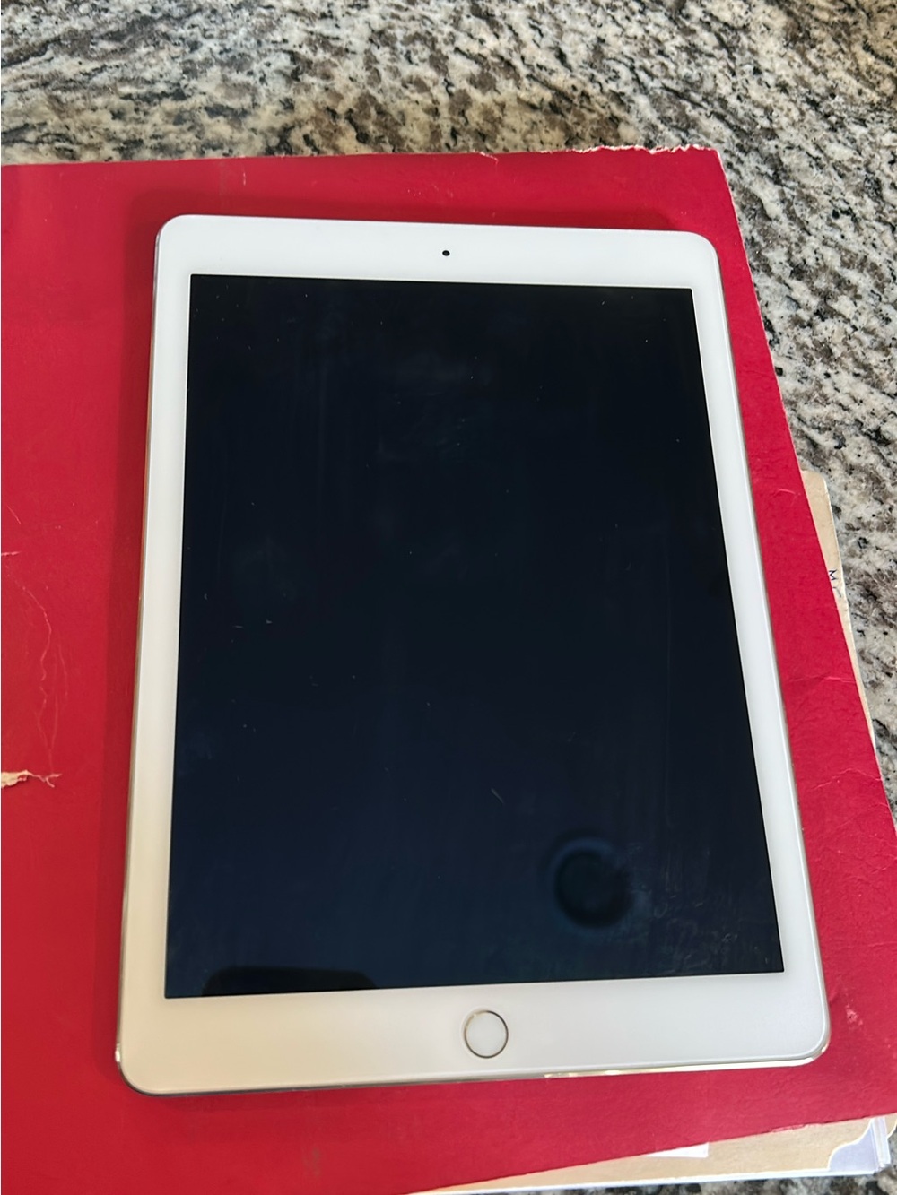 Apple iPad with White Bezel and Gold Trim
